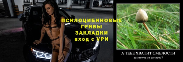 шишки Вязьма