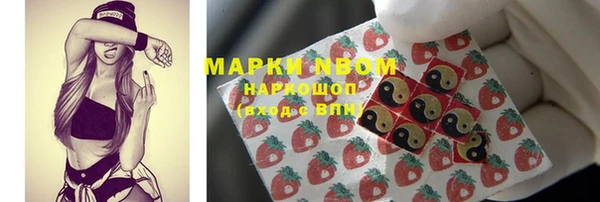 прущие грибы Горняк