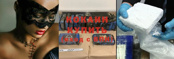 прущие грибы Горняк