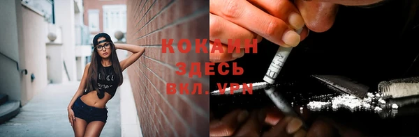 кокс Вяземский