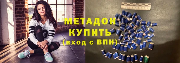 прущие грибы Горняк