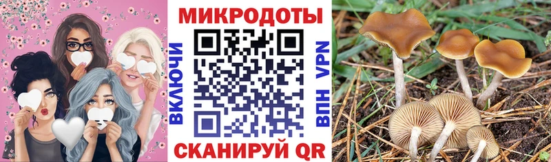 Галлюциногенные грибы GOLDEN TEACHER  где продают наркотики  Заозёрск 