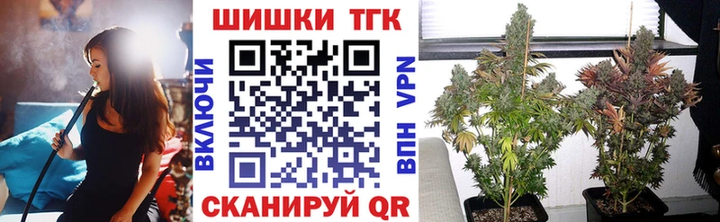 Бошки марихуана THC 21%  купить наркотик  Заозёрск 